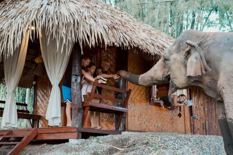 Chiang Mai 2-Day: Good Morning Elephant & Overnight Homestay - The Sum Up