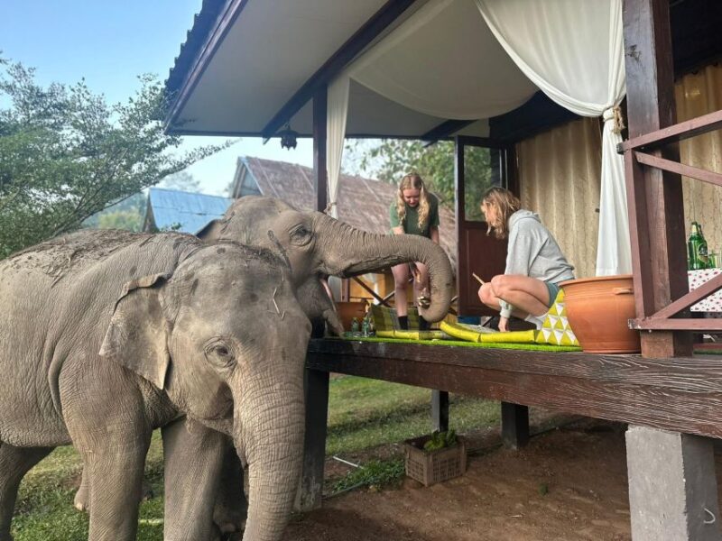 Chiang Mai: 2-Day Good Morning Elephant & Overnight Homestay - Itinerary Details