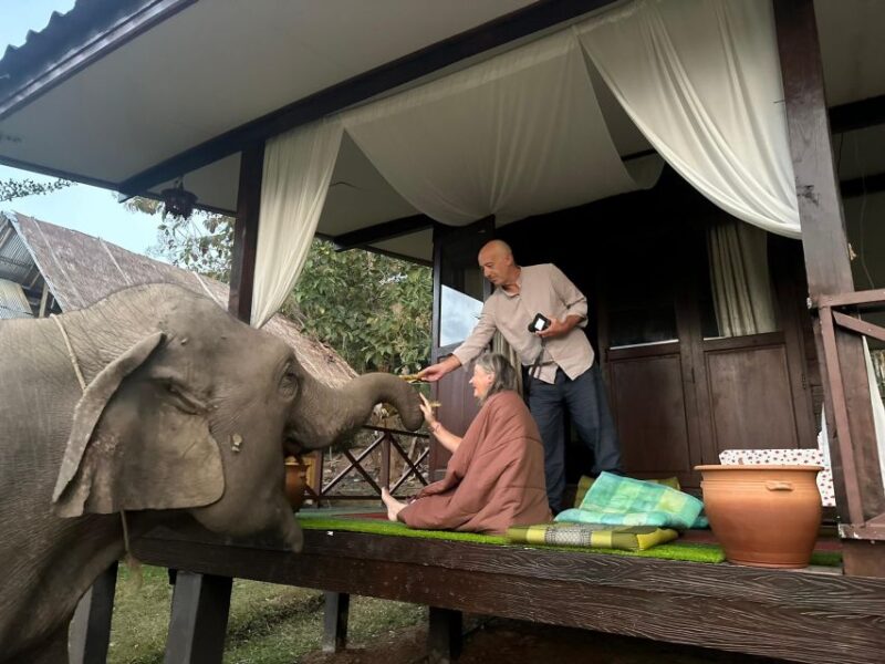 Chiang Mai: 2-Day Good Morning Elephant & Overnight Homestay - Day 2: Bamboo Rafting and Departure