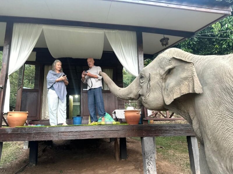 Chiang Mai: 2-Day Good Morning Elephant & Overnight Homestay - Inclusions and Exclusions