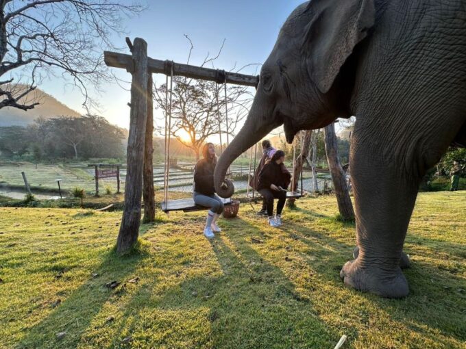 Chiang Mai: 2-Day Good Morning Elephant & Overnight Homestay - What to Bring