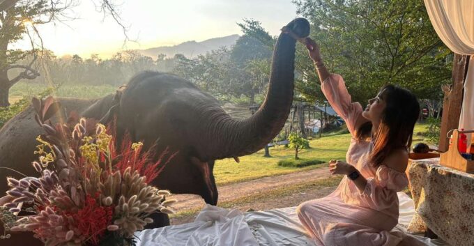 Chiang Mai: 2-Day Good Morning Elephant & Overnight Homestay - Activity Restrictions