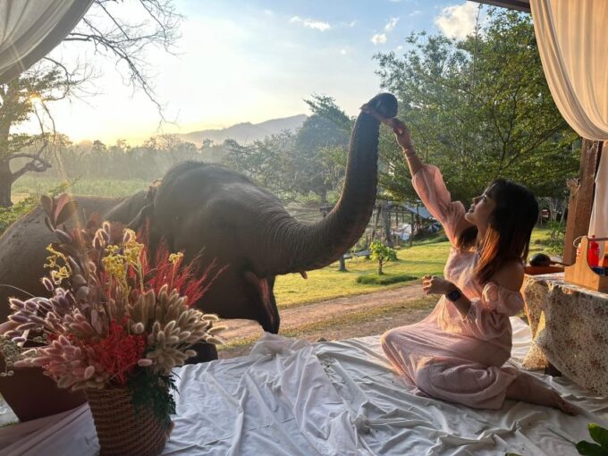Chiang Mai: 2-Day Good Morning Elephant & Overnight Homestay - Customer Reviews and Experiences