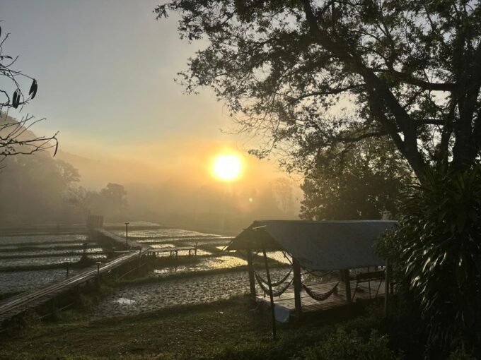Chiang Mai: 2-Day Good Morning Elephant & Overnight Homestay - Frequently Asked Questions