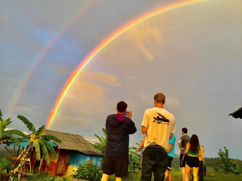 Chiang Mai: 2-Day Jungle Trek With Elephant Farm & Raft Ride - Nature Immersion