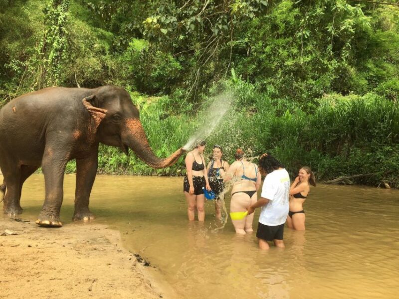 Chiang Mai: 2-Day Jungle Trek With Elephant Farm & Raft Ride - Wildlife Engagement