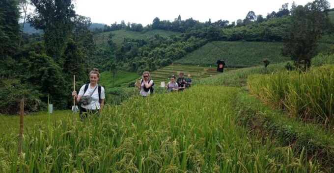 Chiang Mai: 2-Day Jungle Trek With Elephant Farm & Raft Ride - Customer Feedback