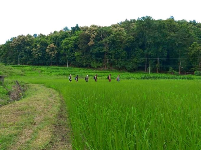 Chiang Mai: 2-Day Jungle Trek With Elephant Farm & Raft Ride - Frequently Asked Questions