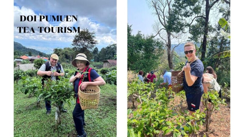 Chiang Mai: 2-Day LAHU Tribe & Tea Tourism Experience - Immersion in Lahu Culture