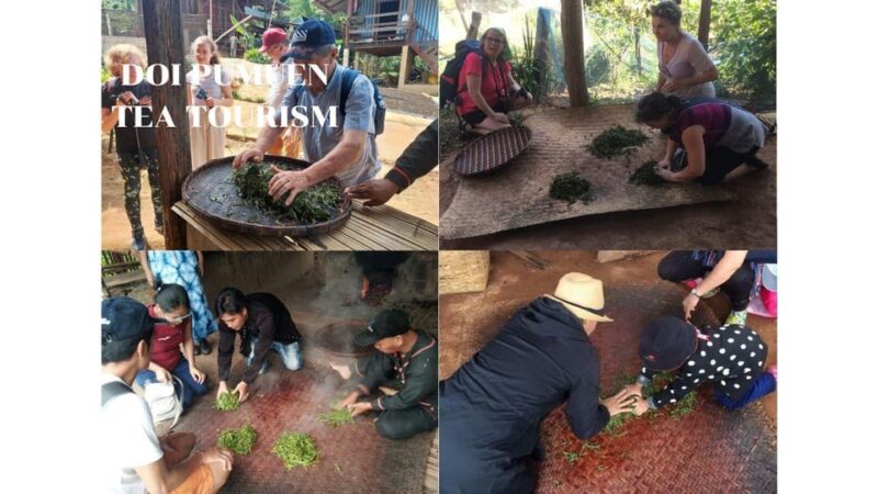 Chiang Mai: 2-Day LAHU Tribe & Tea Tourism Experience - Storytelling and Museum Visit