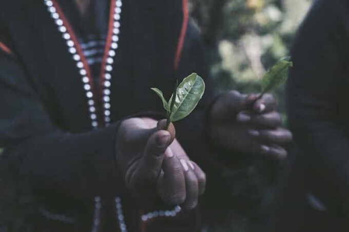 Chiang Mai: 2-Day LAHU Tribe & Tea Tourism Experience - Hot Springs Exploration