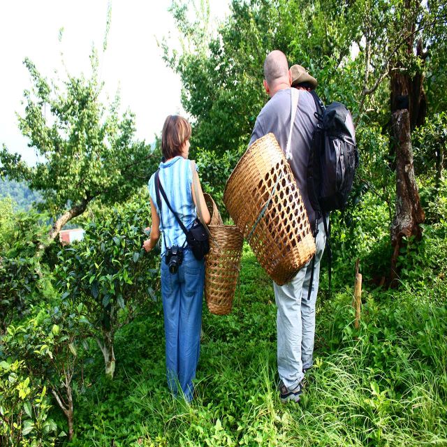 Chiang Mai: 2 Days 1 Night Homestay Community Base Tourism - Important Information
