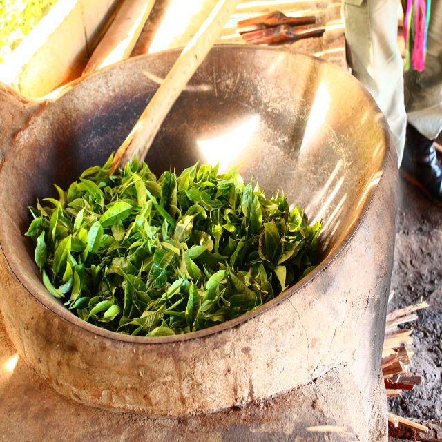 Chiang Mai: 2 Days 1 Night Homestay Community Base Tourism - Pickup and Drop-off