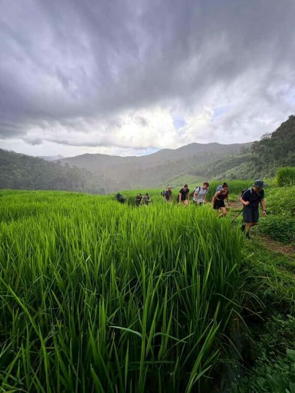 Chiang Mai: 2-Days Jungle Trek, Waterfalls and Karen Village - The Practicalities: What Travelers Need to Know