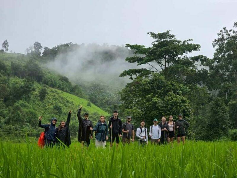 Chiang Mai: 2-Days Jungle Trek, Waterfalls and Karen Village - Summary: Is It Worth It?