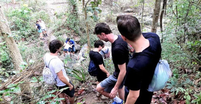 Chiang Mai: 2 Days Trekking & Elephant Care - Key Points