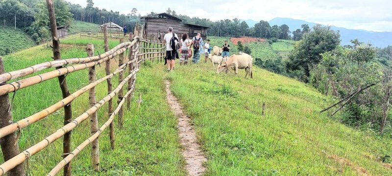 Chiang Mai: 2 Days Trekking & Elephant Care - Excluded From the Package