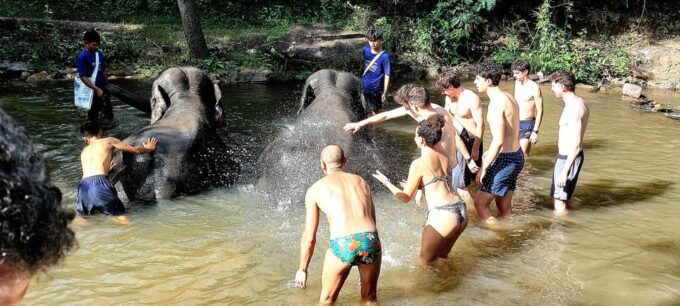 Chiang Mai: 2 Days Trekking & Elephant Care - Suitability Considerations