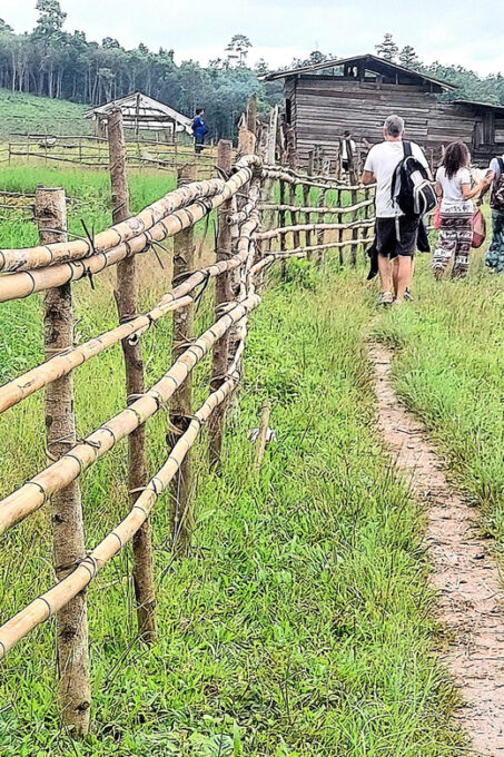 Chiang Mai: 2 Days Trekking & Elephant Care - Pricing and Reservation