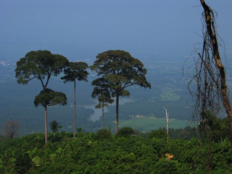 Chiang Mai: 20km Downhill Mountain Biking Challenge Suthep M - Important Information