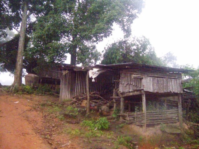 Chiang Mai: 20km Downhill Mountain Biking Challenge Suthep M - Booking Information