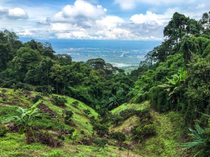 Chiang Mai: 20km Downhill Mountain Biking Challenge Suthep M - Frequently Asked Questions