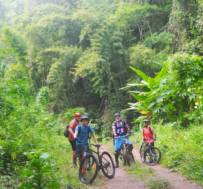 Chiang Mai: 21 Km Downhill (Dh) and Cross-Country (Xc) Mountain Biking From Takkatan Caves. - Patara Elephant Conservation