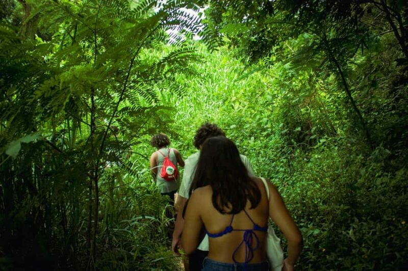 Chiang Mai: 3-Day Karen Hill Tribe Immersion with Trekking - Key Points