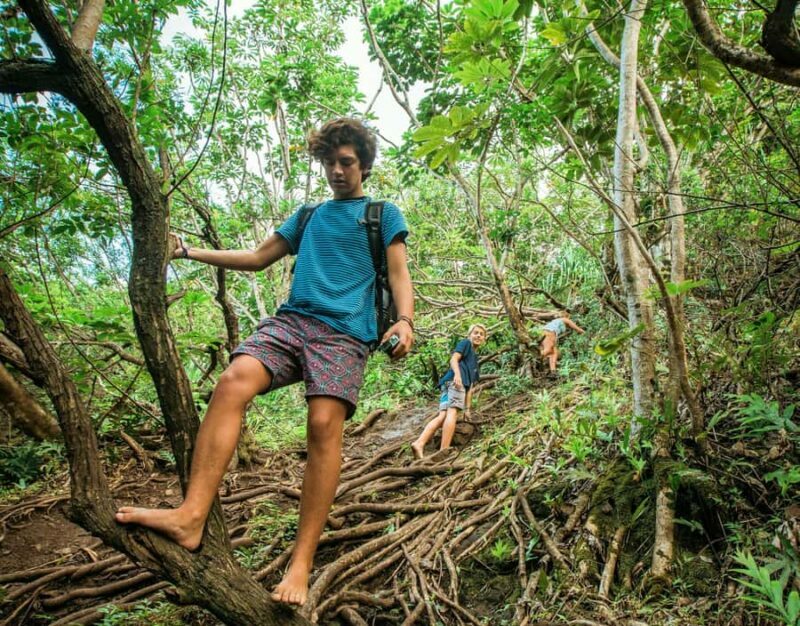 Chiang Mai: 3-Day Karen Hill Tribe Immersion with Trekking - Pricing and Value