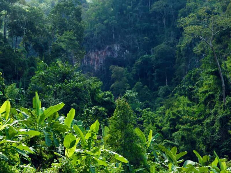 Chiang Mai: 3-Day Karen Hill Tribe Immersion with Trekking - Who Should Consider This Tour?