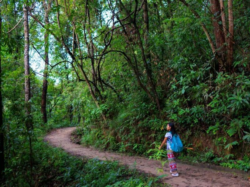 Chiang Mai: 3-Day Karen Hill Tribe Immersion with Trekking - The Sum Up