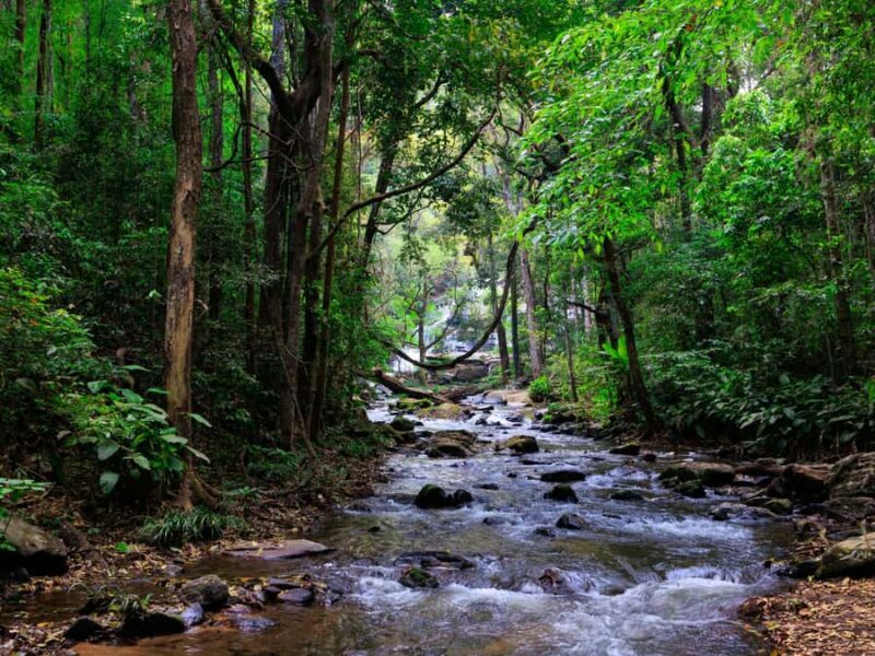 Chiang Mai: 3-Day Karen Hill Tribe Immersion with Trekking - FAQ
