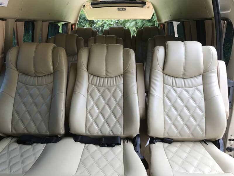 Chiang Mai: 8-Hour Van Service With Professional Driver - Driver and Vehicle Details
