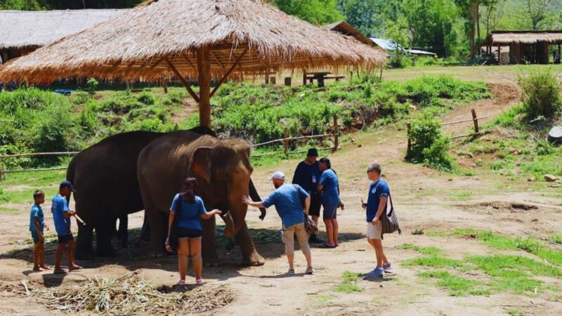 Chiang Mai: A Day in the Life of an Amateur Mahout - Taking in Cultural Experiences