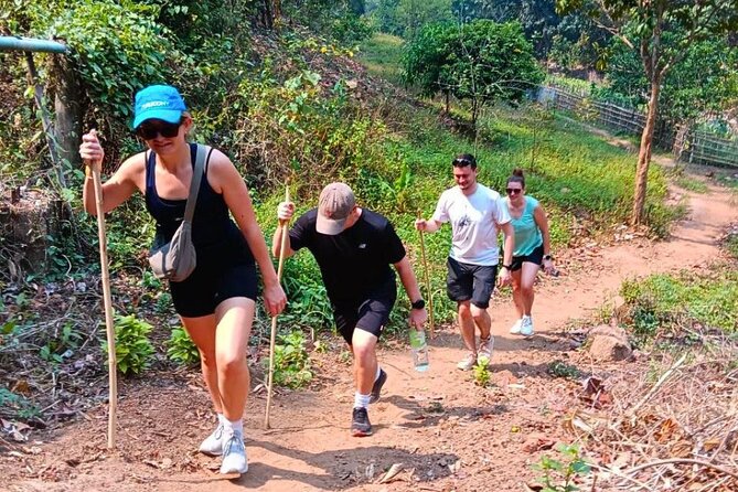 Chiang Mai ATV, Hiking and Rafting Adventure Review - Tour Highlights