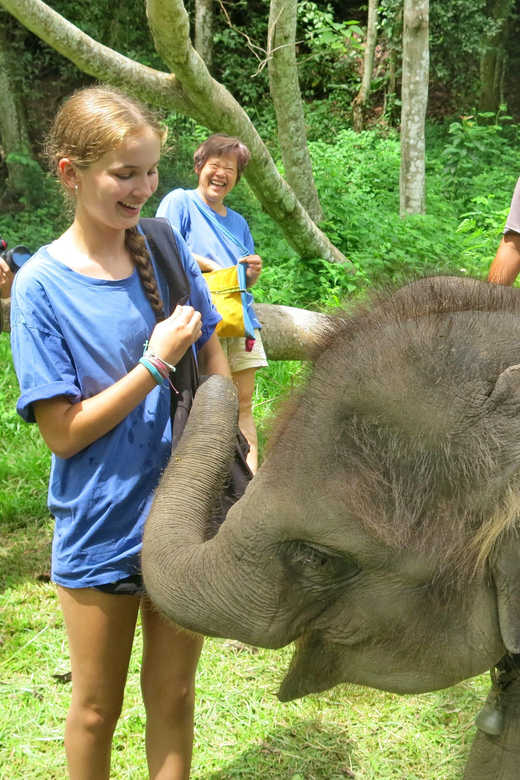 Chiang Mai : ATV Tour + Elephant Care - Key Points