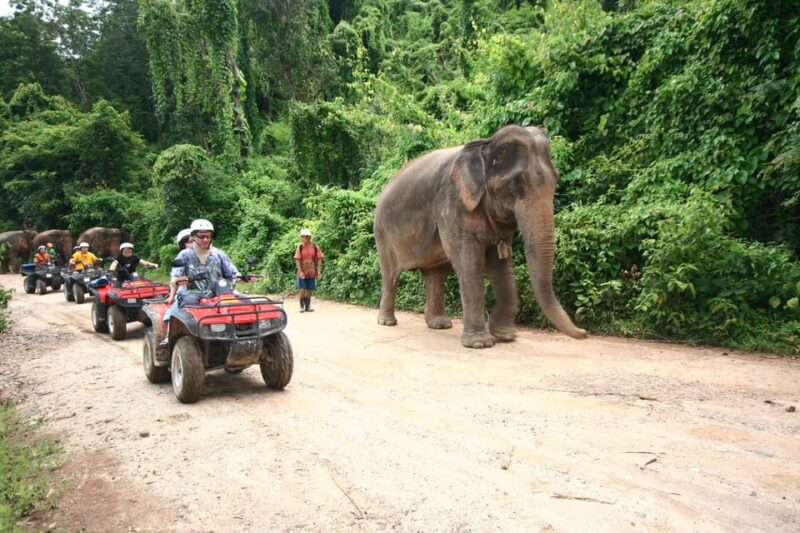 Chiang Mai : ATV Tour + Trekking - Key Points