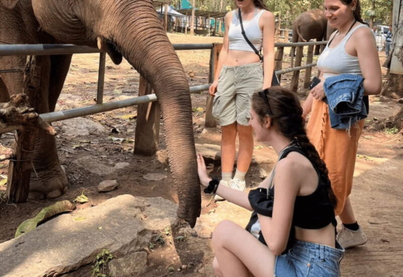 Chiang Mai: Bamboo Rafting With Hotel Transfers - Accessibility and Group Options