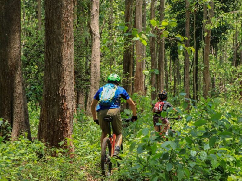 Chiang Mai: Boat Ride and Cycling Tour to Sticky Waterfall - Itinerary Highlights