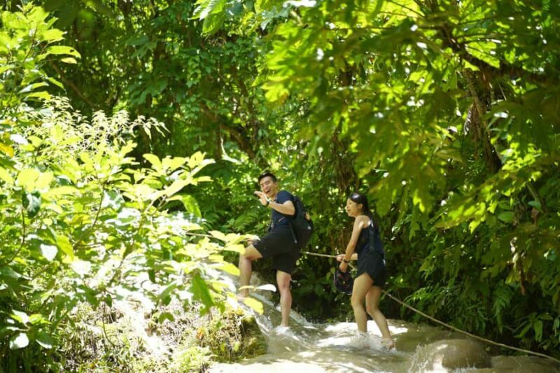 Chiang Mai: Bua Tong Sticky Waterfall, Huge Cave,Thai Buffet - An Introduction to the Tour Experience