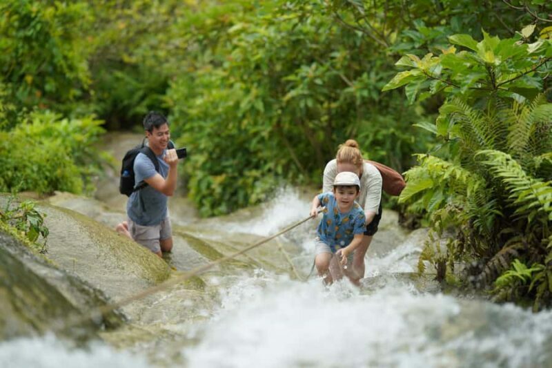 Chiang Mai: Bua Tong Sticky Waterfall, Huge Cave,Thai Buffet - What Makes This Tour Stand Out?