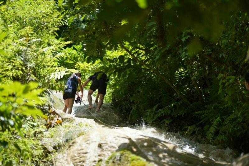 Chiang Mai: Bua Tong Sticky Waterfall, Huge Cave,Thai Buffet - FAQ