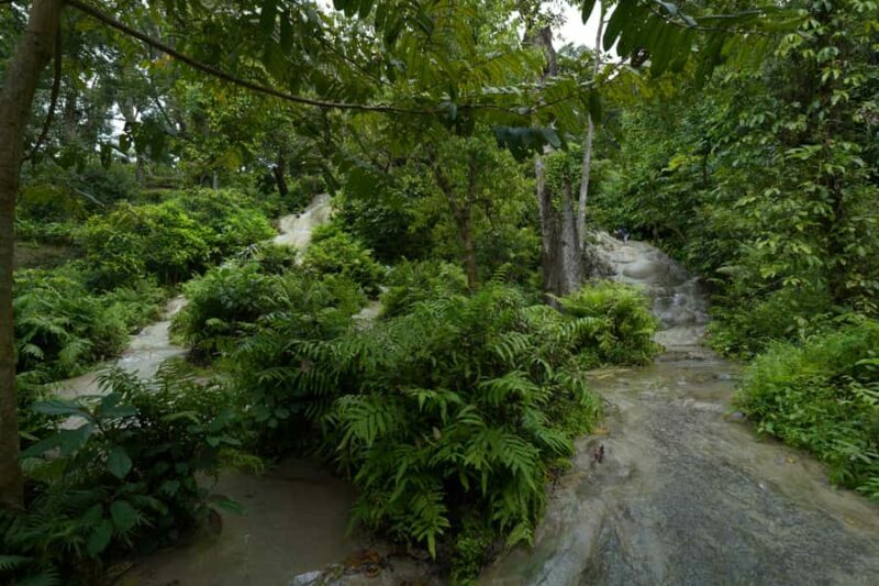 Chiang Mai: Bua Tong Sticky Waterfall, Huge Cave,Thai Buffet - Final Thoughts