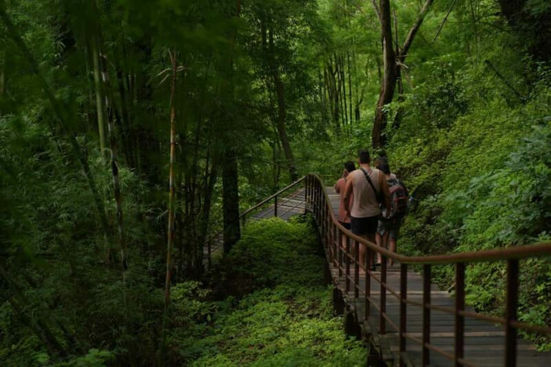 Chiang Mai: Bua Tong Sticky Waterfall, Huge Cave,Thai Buffet - Additional Resources