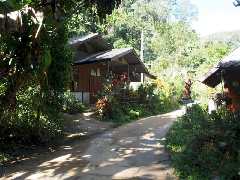 Chiang Mai: Chiang Dao Caves and Jungle Trek With Lunch - Trekking Through Chiang Dao Jungle