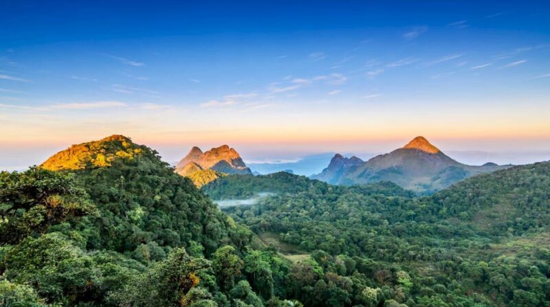 Chiang Mai: Chiang Dao Caves and Jungle Trek With Lunch - Highlights of the Experience