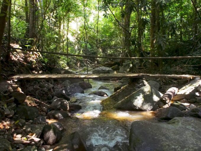 Chiang Mai: Chiang Dao Caves and Jungle Trek With Lunch - Inclusions and Amenities
