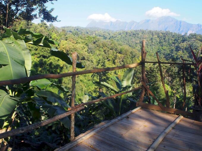 Chiang Mai: Chiang Dao Caves and Jungle Trek With Lunch - Important Considerations