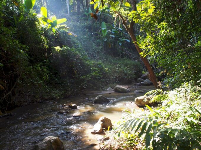 Chiang Mai: Chiang Dao Caves and Jungle Trek With Lunch - Getting to the Destination