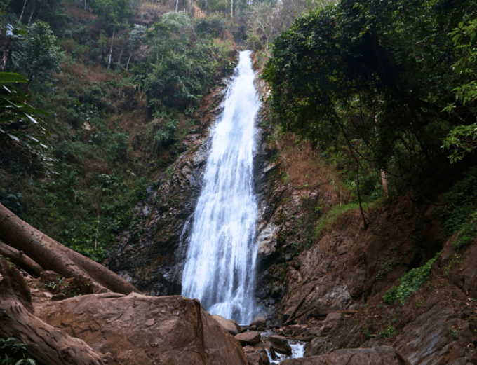 Chiang Mai: Chiang Rai & Doi Mae Salong Tea Plantation Tour - Scenic Mountain Drive